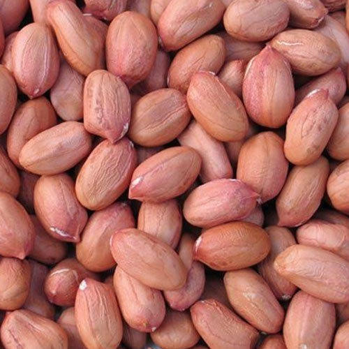 Java Peanut