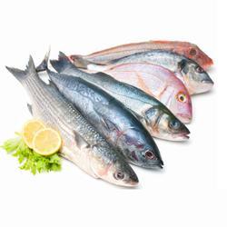 Sea Food